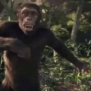 Meet your Posher, Mason